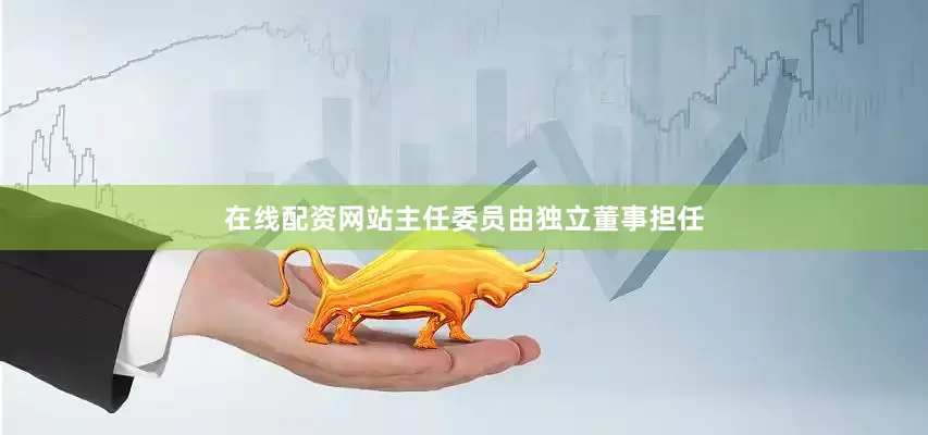 在线配资网站主任委员由独立董事担任