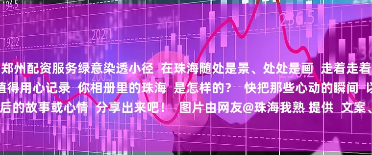 郑州配资服务绿意染透小径  在珠海随处是景、处处是画  走着走着就成了画中人  每一刻光影都值得用心记录  你相册里的珠海  是怎样的？  快把那些心动的瞬间  以及照片背后的故事或心情  分享出来吧！  图片由网友@珠海我熟 提供  文案、编辑/黄青芳  责任编辑/蓝辉龙  三审/孟鑫